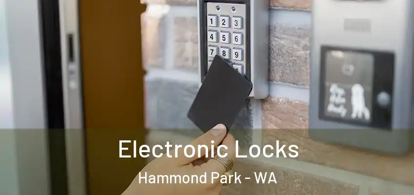 Electronic Locks Hammond Park - WA