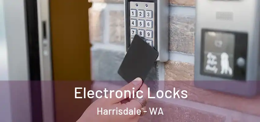 Electronic Locks Harrisdale - WA