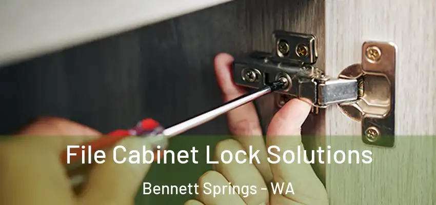  File Cabinet Lock Solutions Bennett Springs - WA