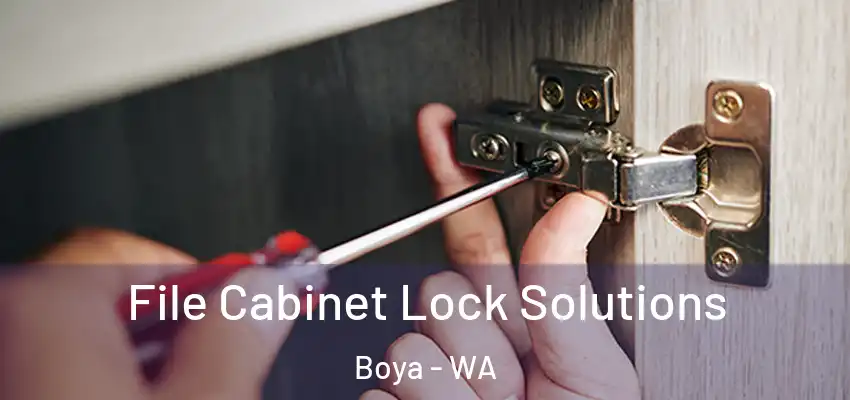 File Cabinet Lock Solutions Boya - WA