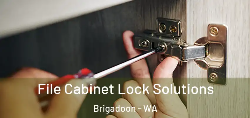 File Cabinet Lock Solutions Brigadoon - WA