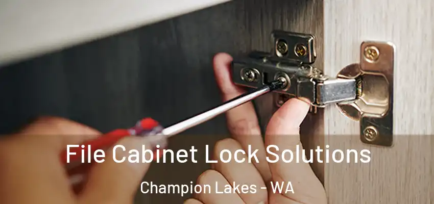 File Cabinet Lock Solutions Champion Lakes - WA