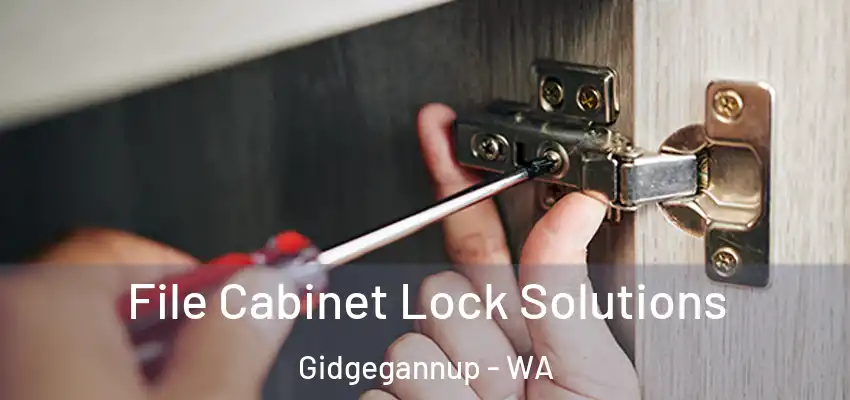File Cabinet Lock Solutions Gidgegannup - WA