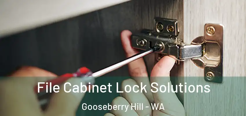 File Cabinet Lock Solutions Gooseberry Hill - WA