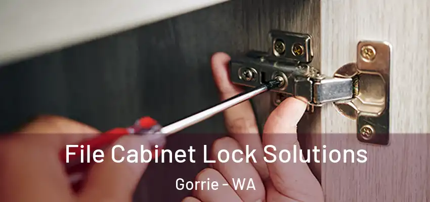 File Cabinet Lock Solutions Gorrie - WA