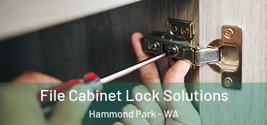 File Cabinet Lock Solutions Hammond Park - WA
