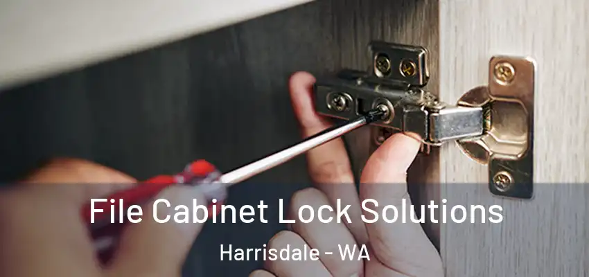 File Cabinet Lock Solutions Harrisdale - WA