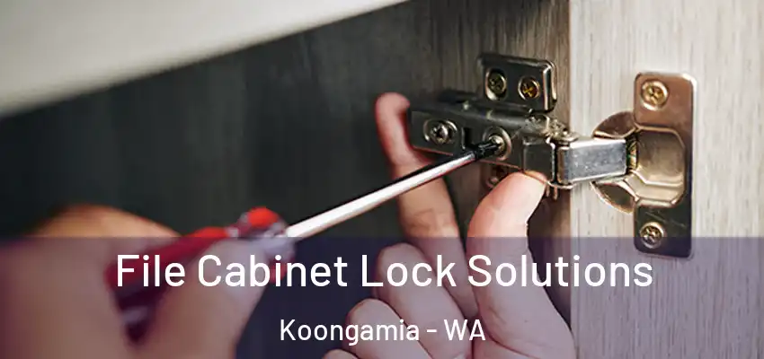 File Cabinet Lock Solutions Koongamia - WA