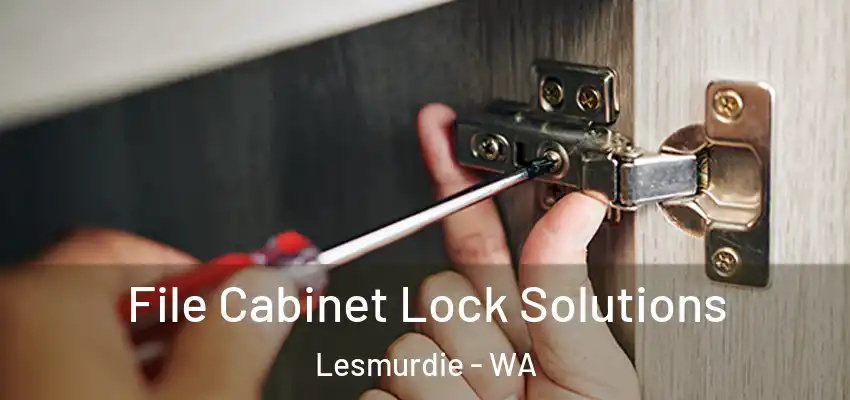 File Cabinet Lock Solutions Lesmurdie - WA