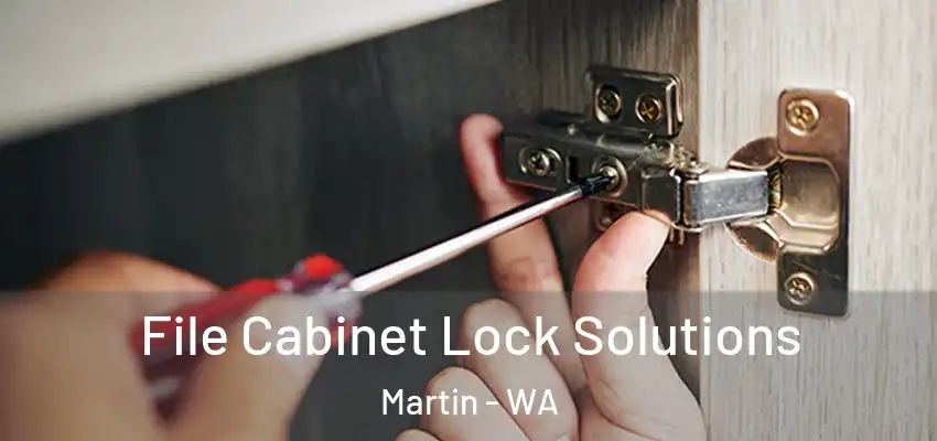  File Cabinet Lock Solutions Martin - WA