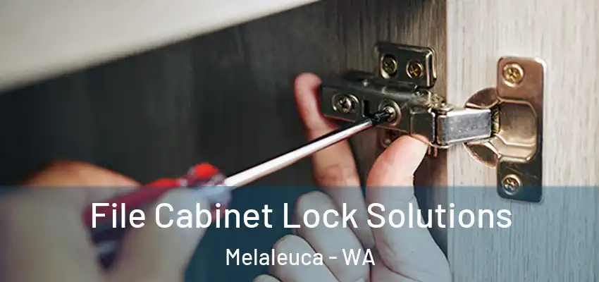  File Cabinet Lock Solutions Melaleuca - WA