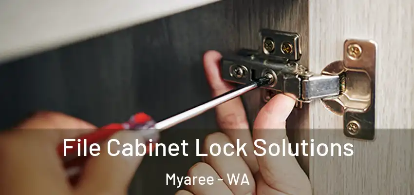 File Cabinet Lock Solutions Myaree - WA