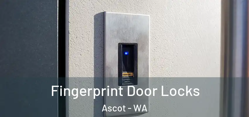 Fingerprint Door Locks Ascot - WA