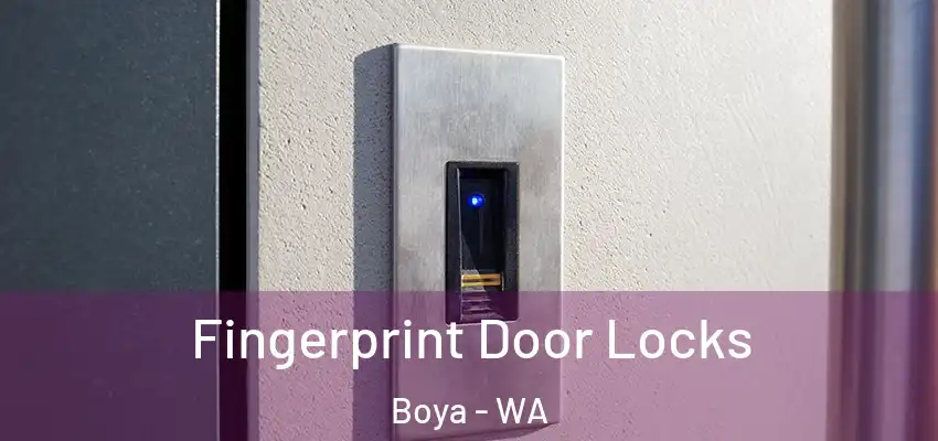 Fingerprint Door Locks Boya - WA
