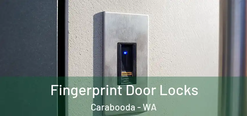 Fingerprint Door Locks Carabooda - WA