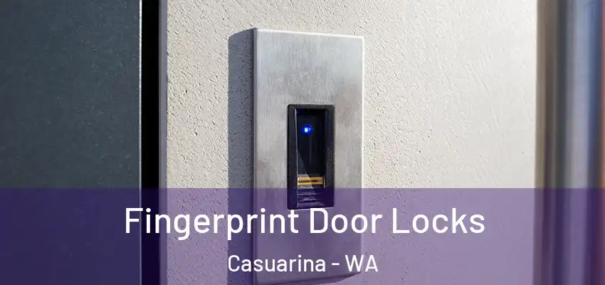 Fingerprint Door Locks Casuarina - WA