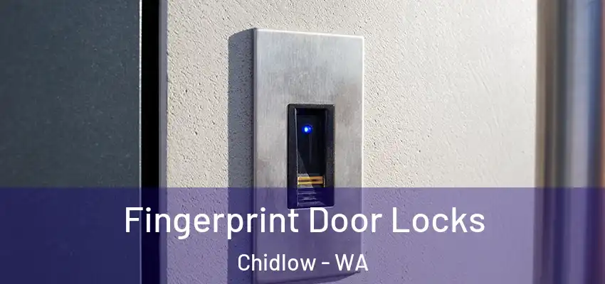 Fingerprint Door Locks Chidlow - WA
