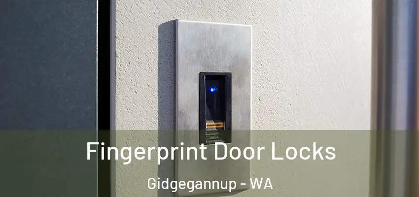 Fingerprint Door Locks Gidgegannup - WA
