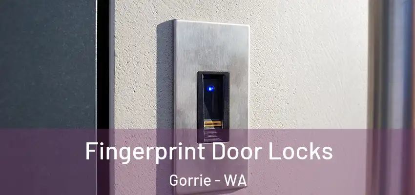Fingerprint Door Locks Gorrie - WA