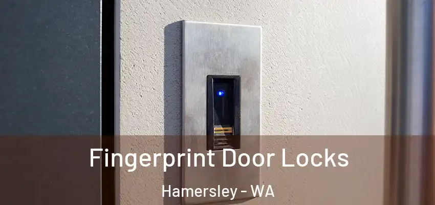 Fingerprint Door Locks Hamersley - WA