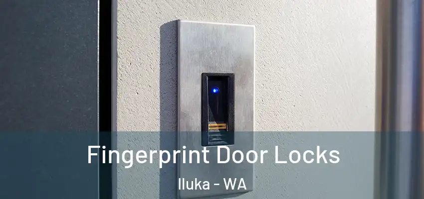 Fingerprint Door Locks Iluka - WA