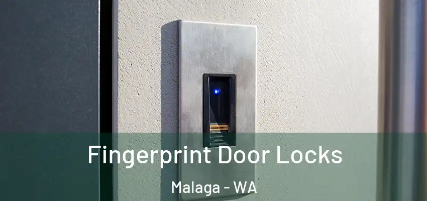 Fingerprint Door Locks Malaga - WA