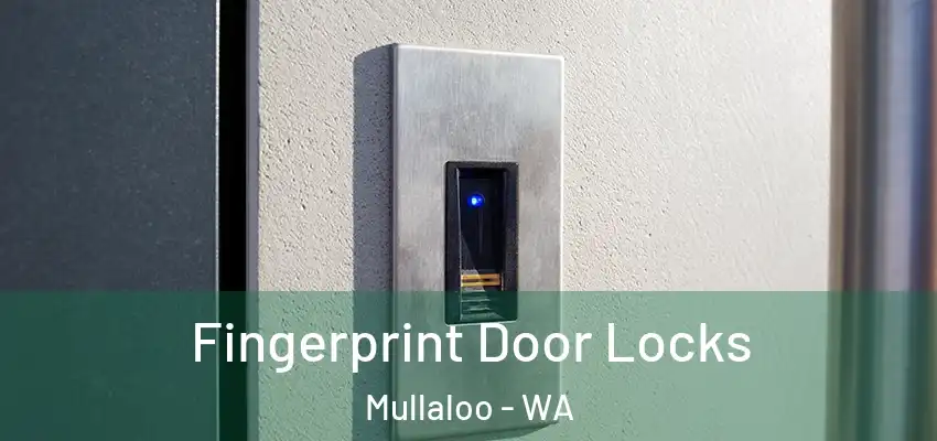 Fingerprint Door Locks Mullaloo - WA