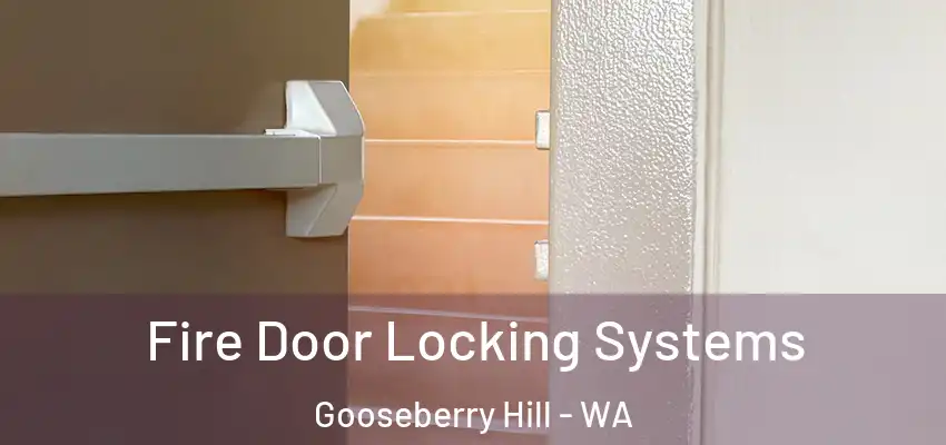Fire Door Locking Systems Gooseberry Hill - WA