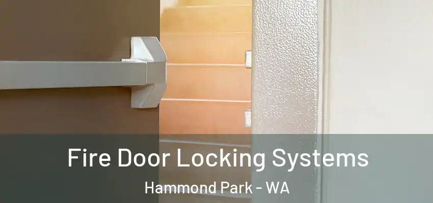 Fire Door Locking Systems Hammond Park - WA