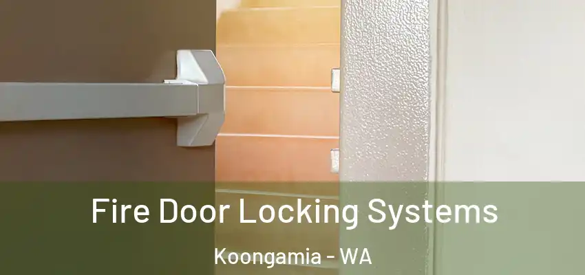 Fire Door Locking Systems Koongamia - WA