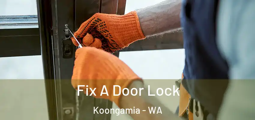  Fix A Door Lock Koongamia - WA