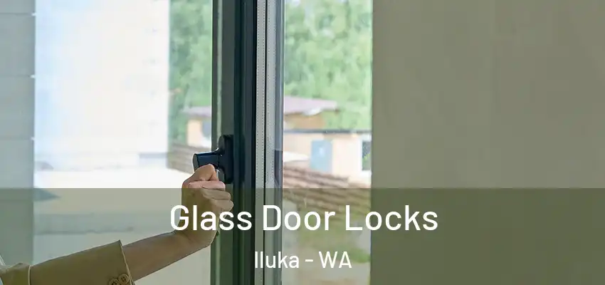Glass Door Locks Iluka - WA