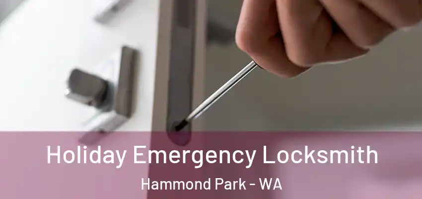 Holiday Emergency Locksmith Hammond Park - WA