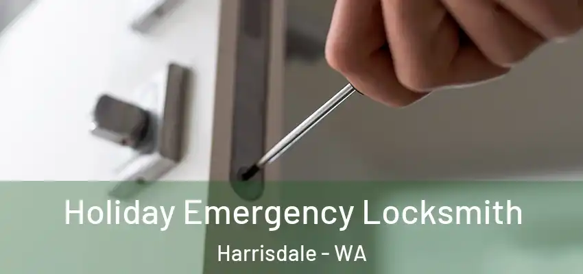 Holiday Emergency Locksmith Harrisdale - WA