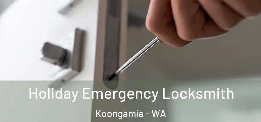 Holiday Emergency Locksmith Koongamia - WA