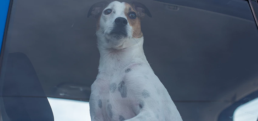 Car Lockout Solutions in Perth, WA