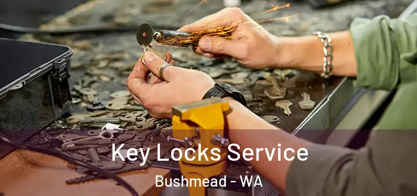 Key Locks Service Bushmead - WA