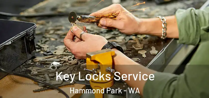Key Locks Service Hammond Park - WA