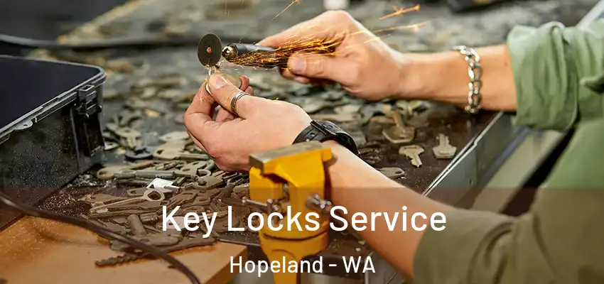  Key Locks Service Hopeland - WA