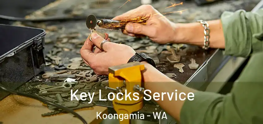 Key Locks Service Koongamia - WA