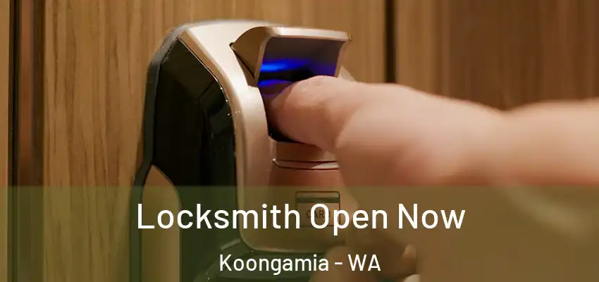 Locksmith Open Now Koongamia - WA
