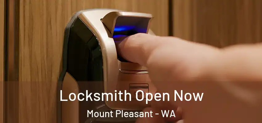 Locksmith Open Now Mount Pleasant - WA