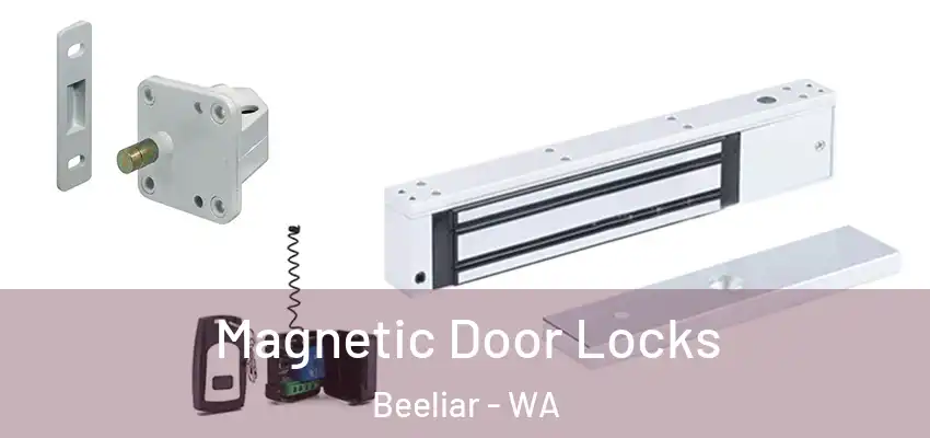 Magnetic Door Locks Beeliar - WA