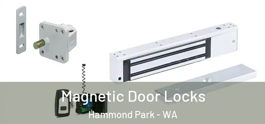 Magnetic Door Locks Hammond Park - WA