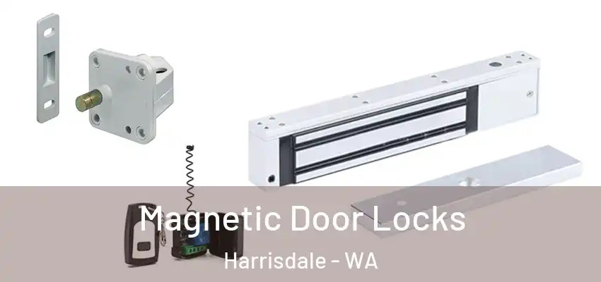 Magnetic Door Locks Harrisdale - WA