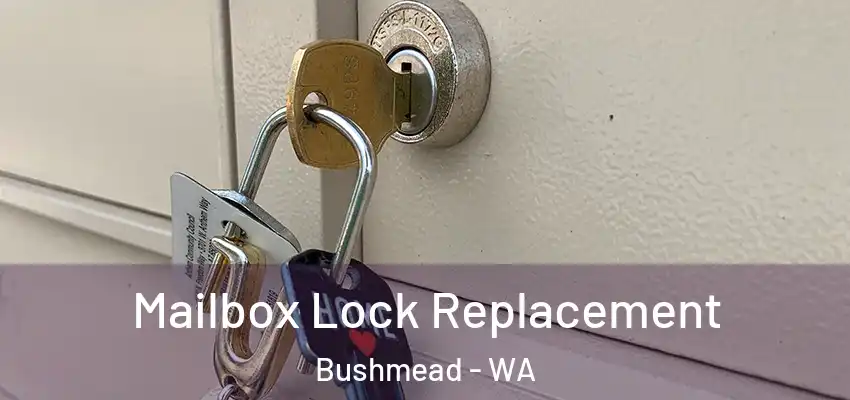 Mailbox Lock Replacement Bushmead - WA