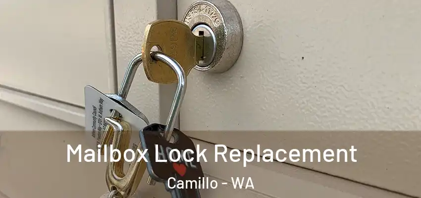  Mailbox Lock Replacement Camillo - WA