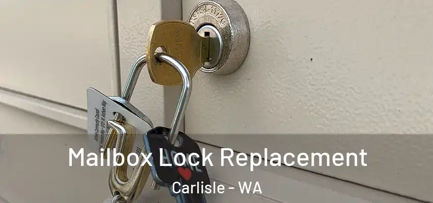  Mailbox Lock Replacement Carlisle - WA