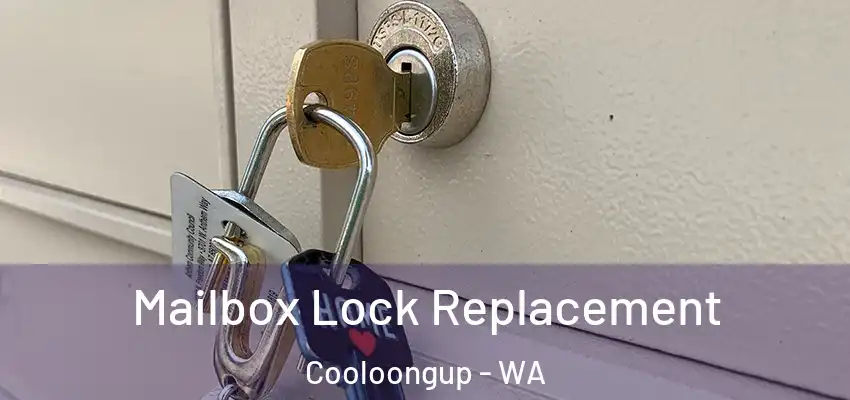Mailbox Lock Replacement Cooloongup - WA