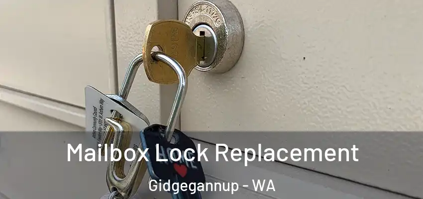 Mailbox Lock Replacement Gidgegannup - WA